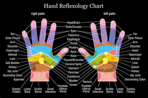 Learning from a Hand Reflexology Chart to Promote Quality of Life