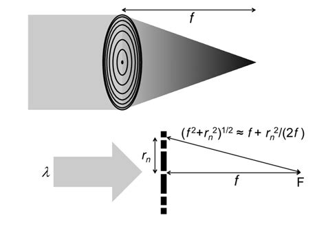 Scheme of a Fresnel zone plate (FZP). | Download Scientific Diagram