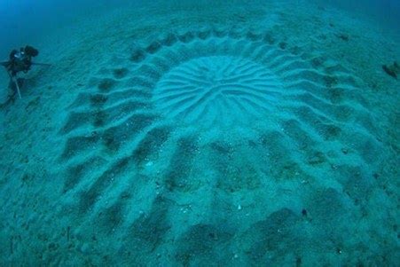 Top 10 Amazing Ocean Mysteries and Phenomena