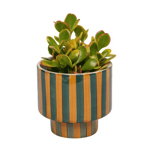 Kaya Shorty Ceramic Planter by Justina Blakeney® | Jungalow® | Ceramic planters, Colorful ...