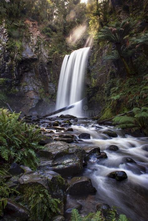 Rainforest Waterfalls, Hopetoun Falls, Victoria, Australia Stock Image ...