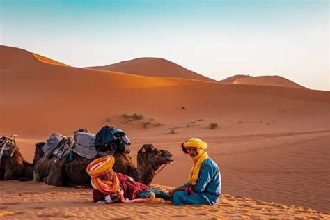 8 Fakta Gurun Sahara, Padang Pasir di Bagian Utara Afrika | kumparan.com