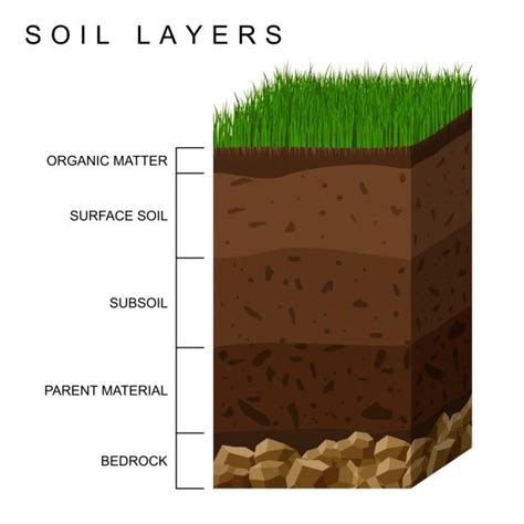 Soil Layers Diagram