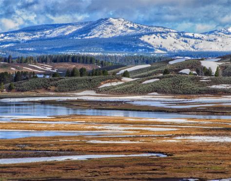 Exploring Hayden Valley in Spring - A Yellowstone Life