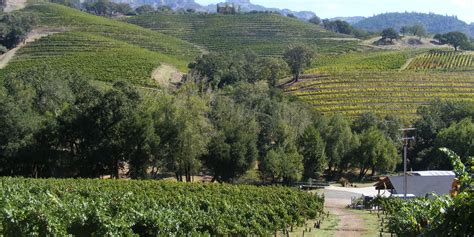 Wine Country Trekking – Sonoma, CA – Sonoma.com