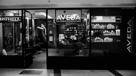 AVEDA EXCLUSIVE SALON AVENUE K – PREMIUM - Caucasian and Asian Hair ...