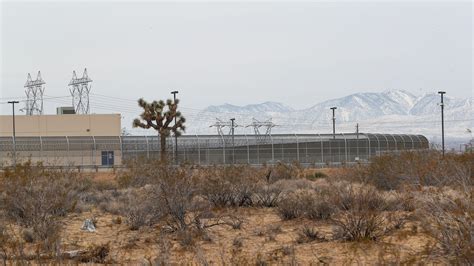 Asylum-seekers allegedly pepper-sprayed at Adelanto detention center ...