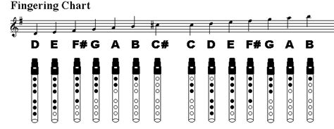 penny whistle fingering chart @ tinwhistler.com | Flute and music fun | Irish flute, Tin whistle ...