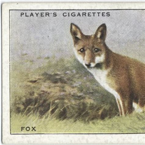 Cigarette Cards: Animals of the Countryside list