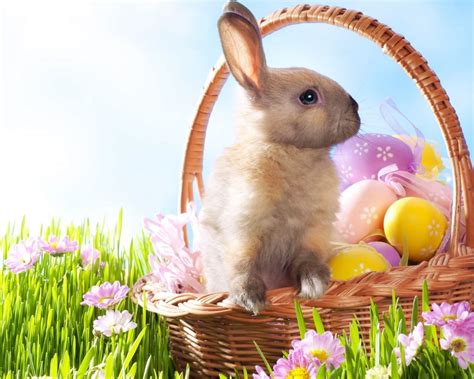 FREE 29+ Easter Bunny Wallpapers in PSD | Vector EPS