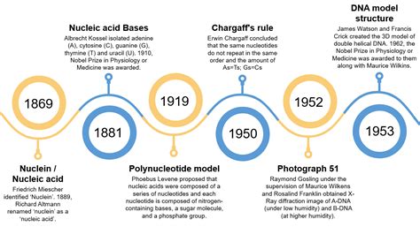 DNA: Nature’s own director of Life | Protein Data Bank in Europe