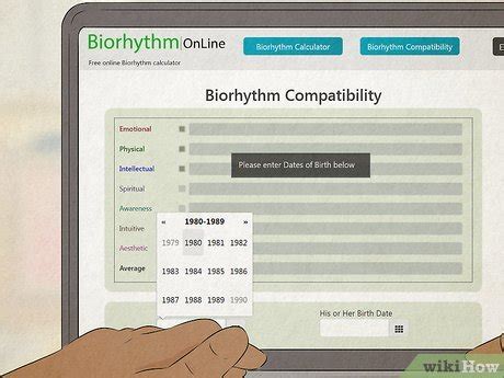 How to Calculate & Analyze Biorhythm Compatibility