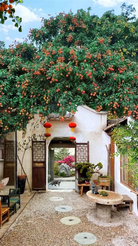 Chinese courtyard, exquisite architectural style, courtyard scenery ...