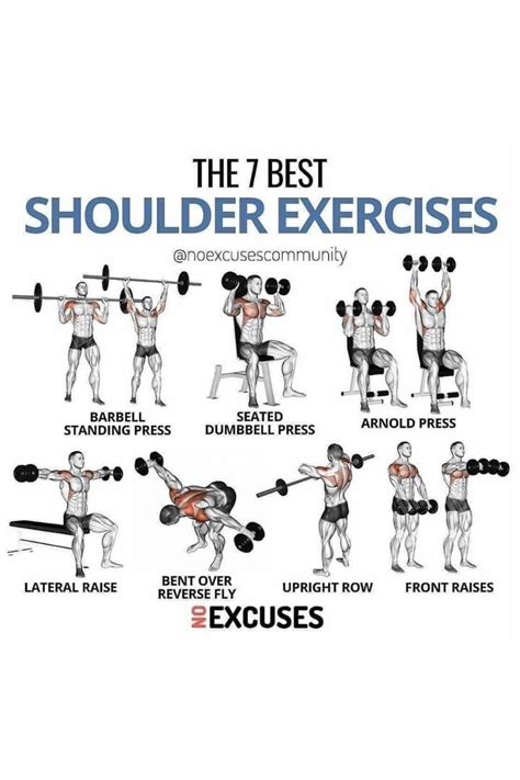 7 Best Exercises For Shoulders in 2022 | Shoulder workout bodybuilding, Gym shoulder workou ...