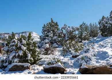 762 Colorado National Monument Winter Royalty-Free Photos and Stock Images | Shutterstock