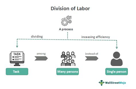 Division Of Labor - What Is It, Examples, Advantage, Disadvantage