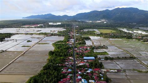 Aerial view road pass the paddy field 7937777 Stock Video at Vecteezy