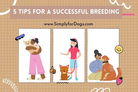 5 Tips for A Successful Breeding - (Important to Breeders) Simply For Dogs