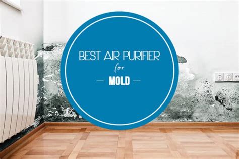 5 Best Air Purifiers for Mold Reviews & Ratings (2022 Updated)