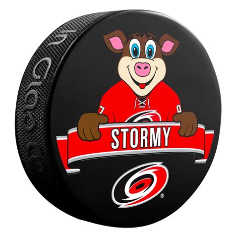 Puck Mascot Inglasco NHL Carolina Hurricanes | Sportartikel | Sportega