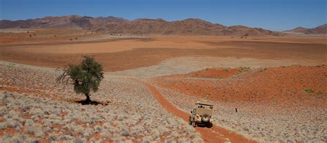 Namibia Safari | Apex Expeditions