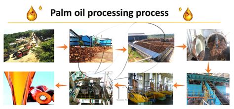 Process flow diagram for palm oil production_Palm Oil Processing FAQ