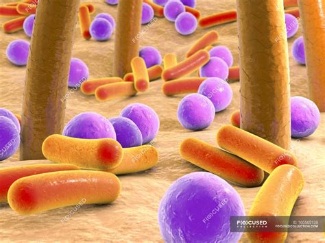 Bacteria on human skin — microbe, microflora - Stock Photo | #160565138