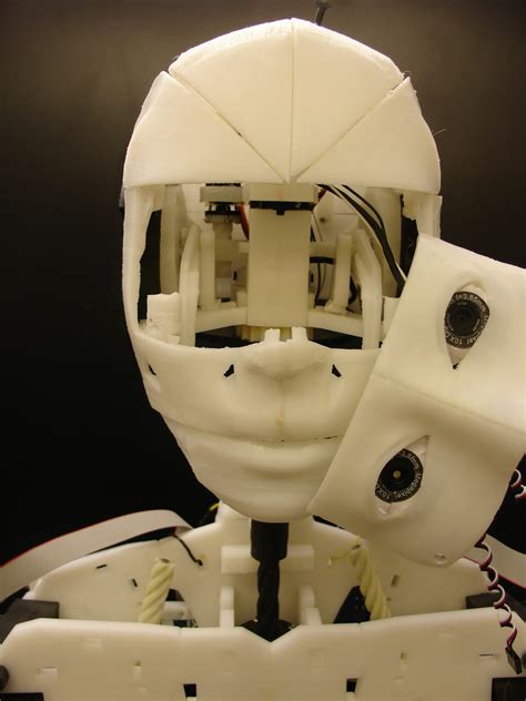 InMoov: Eye Mechanism