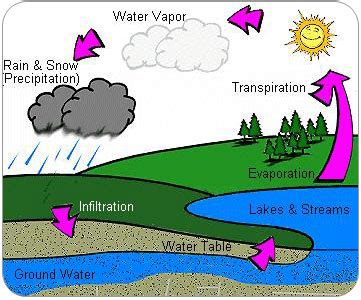 Hydrological-cycle — European Environment Agency