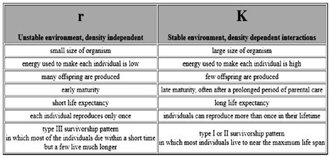 What Is K Selected Species