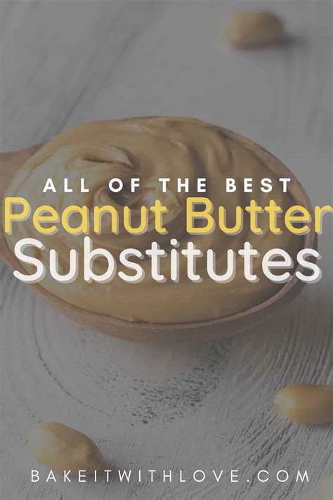 Best Peanut Butter Substitute: 15+ Easy Peanut Butter Alternatives