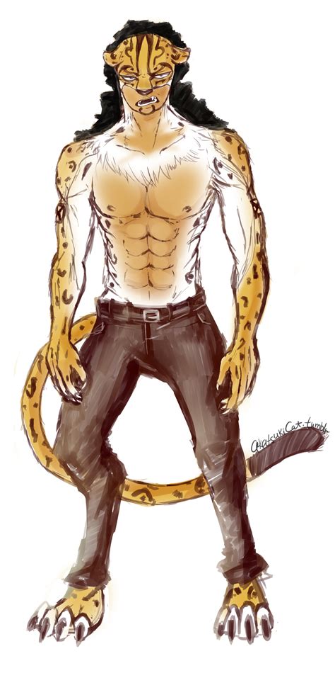 🔥 Free Download Rob Lucci Leopard Form By Akatsukicat by @kareno ...