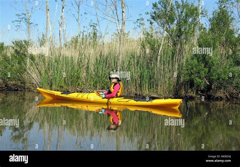 kayaking on tidal creek with still water reflections and swamp ...