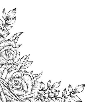 Black And White Rose Drawing Border