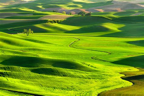 The Palouse Rolling Hills Photograph by Justinreznick