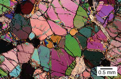 Thin section featuring olivine crystals