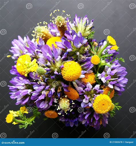 Bouquet of wild flowers. stock photo. Image of bouquet - 21502678