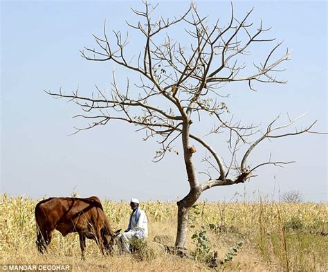 India is desertifying – DESERTIFICATION