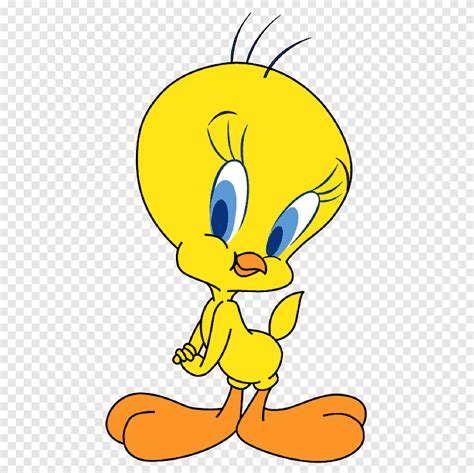 Tweety Bird illustration, Tweety Sylvester Granny Cartoon, spice, flower, bird png | PNGEgg