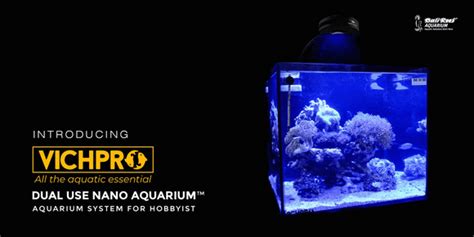 Bali Reef Aquarium – Bali Reef Aquarium Online Store