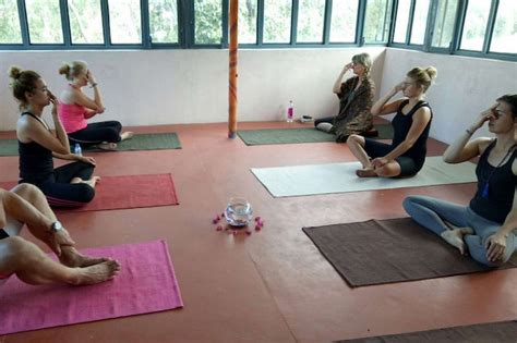 179 Handpicked Yoga Retreats India 2022 | India Yoga Retreat | Yoga India