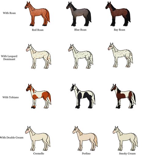 The Jorvik Report: Horse color chart