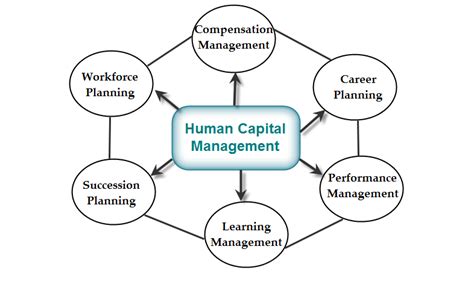 Human Capital Management System (HCMS) Importance