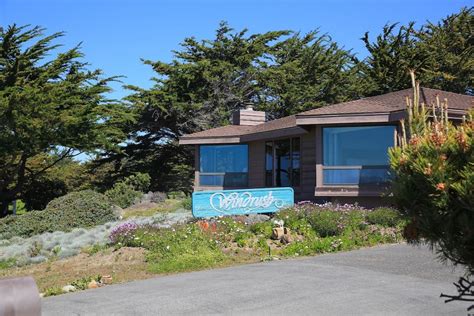 Check out this awesome listing on Airbnb: Windrush House on Moonstone Beach - Houses for Rent in ...