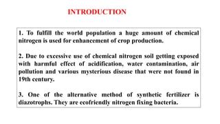 Evaluation of diazotrophs | PPT