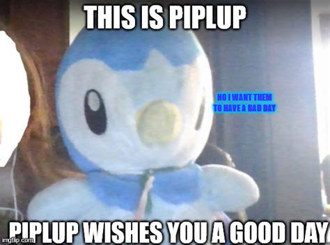 piplup wishes you a good day - Imgflip