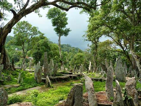 Sacred Groves: SACRED GROVES OF MEGHALAYA