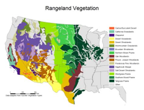 North American Desert Grassland | Wrangle