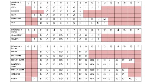 Bra Cup Size Comparison Pictures