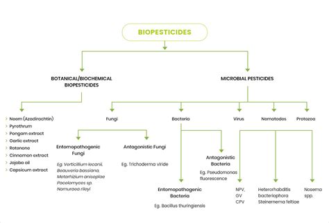 Biopesticides Biofertilizers Manufacturer in India